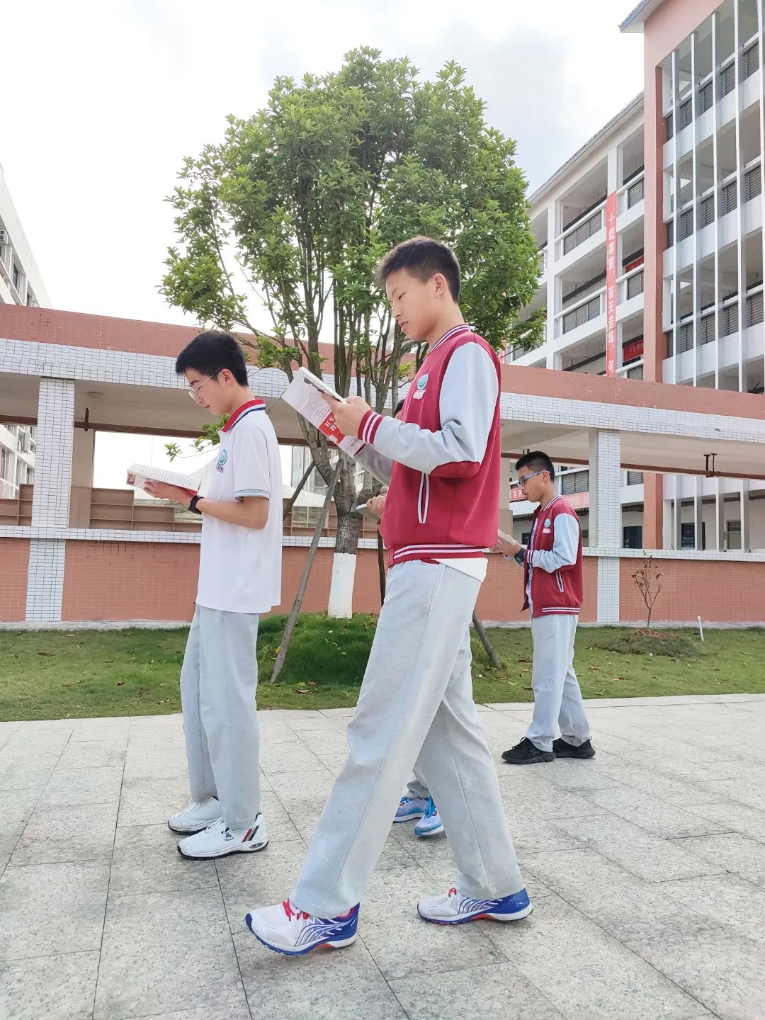 31771210883701658.jpg 圖片